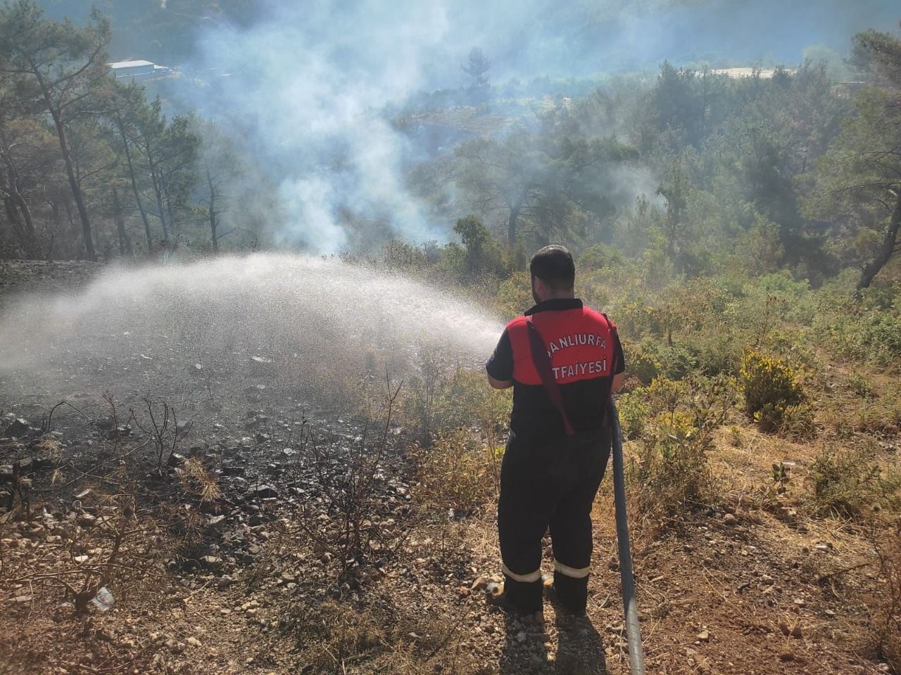 Şanlıurfa’dan Destek: Hatay’daki Yangına Hızla Müdahale Edildi