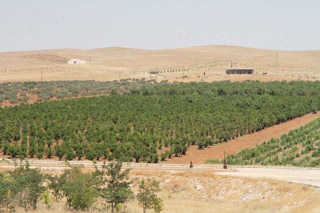 Türkiye ‘de orman alanları açıklandı! Şanlıurfa orman fakiri çıktı