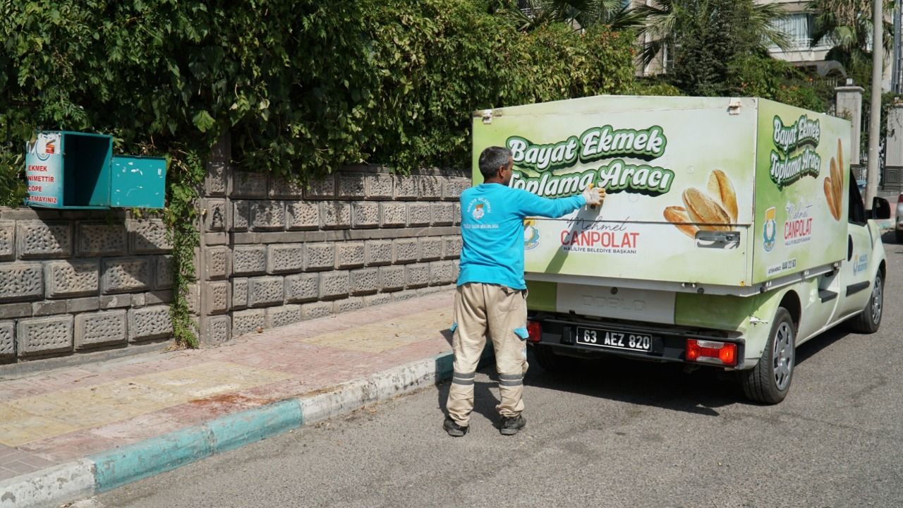 Haliliye Belediyesi Bayat Ekmek toplama projesiyle ekmek israfı önleniyor