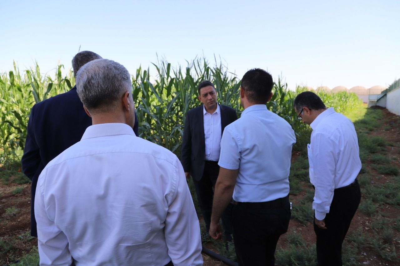 Şanlıurfa AMATEM’de “Hobi bahçesi ile tarla terapisi ”uygulanıyor