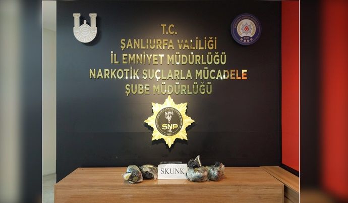 Şanlıurfa’da 2 kilo 950 gram skunk ele geçirildi