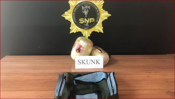 Şanlıurfa’da 5 kilo 550 gram skunk ele geçirildi: 5 gözaltı