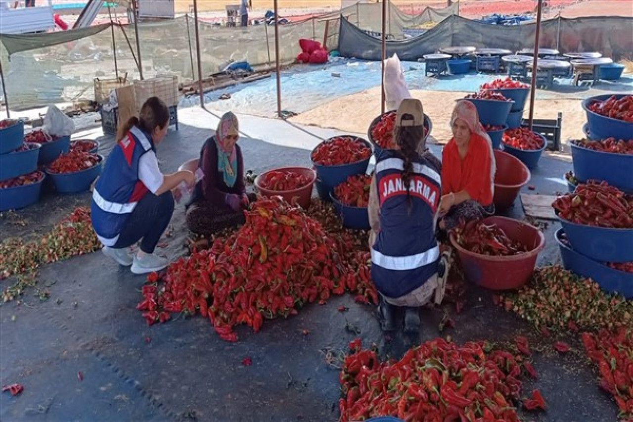 Şanlıurfa’da KADES eğitimi verildi