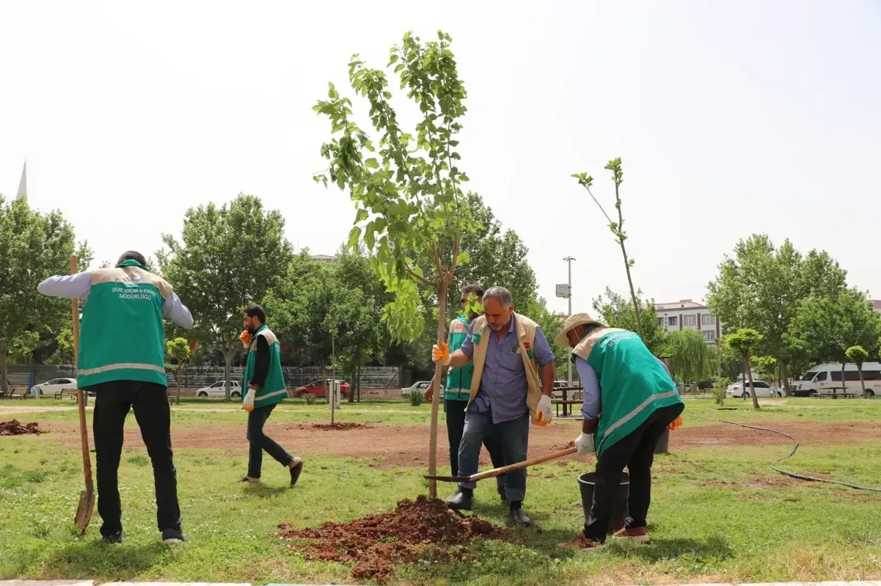 Haliliye’de parklar yaza hazırlanıyor