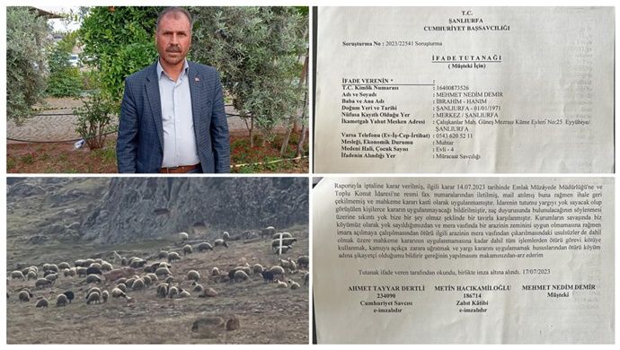Urfa’da TOKİ’nin mera alanını imara açma girişimi, mahkeme kararına rağmen durdurulamıyor…
