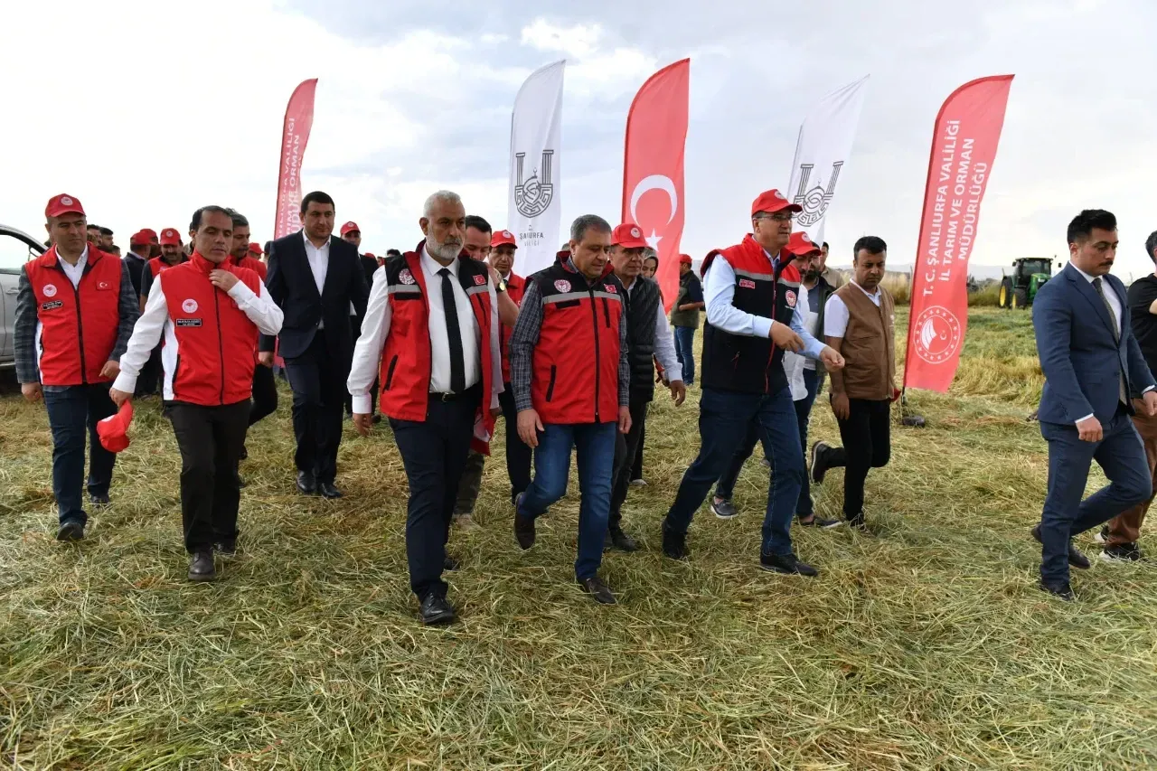 Vali Hasan Şıldak, Firik Hasadına Katıldı