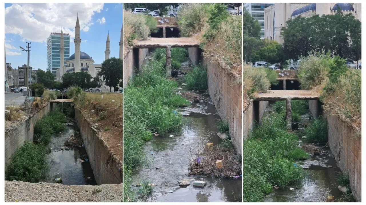 Bu görüntüler Şanlıurfa ‘nın göbeğinden ! Yetkililer artık bu duruma bir el atsa mı?