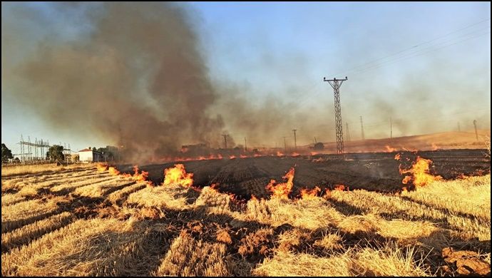 Güneydoğu’da Anız Yakımının Olumsuz Etkileri Sürüyor: Şanlıurfa’da 16 Mahalle Elektriksiz Kaldı