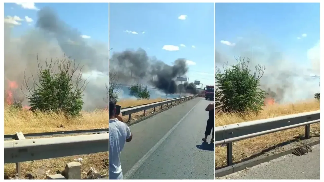 Şanlıurfa Organize Sanayi Bölgesi yakınındaki ormanlık alanda yangın çıktı
