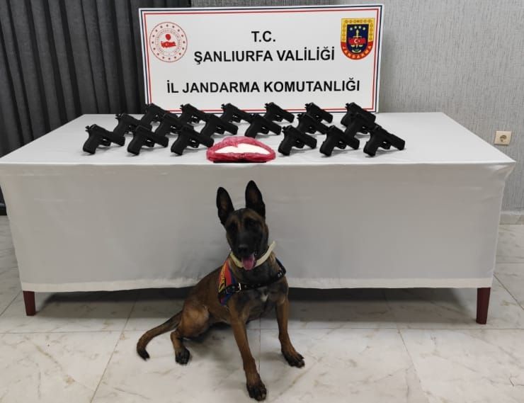 Viranşehir’de Jandarmadan Kaçak Silah Operasyonu