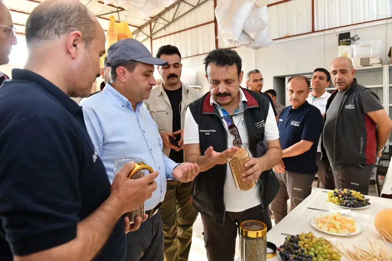 Vali Şıldak,GAP TAEM Araştırma İstasyonlarında incelemelerde bulundu