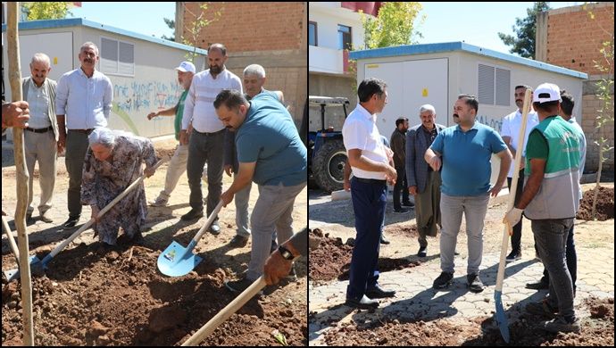 Viranşehir Belediyesi, ‘her Cana Bir Fidan’ Kampanyasını Başlattı