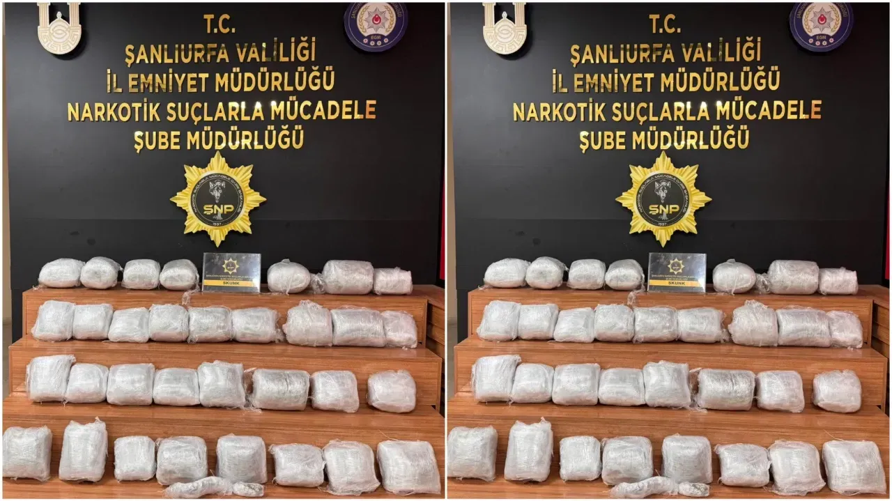 Şanlıurfa’da 35 Kilogram Skunk Ele Geçirildi