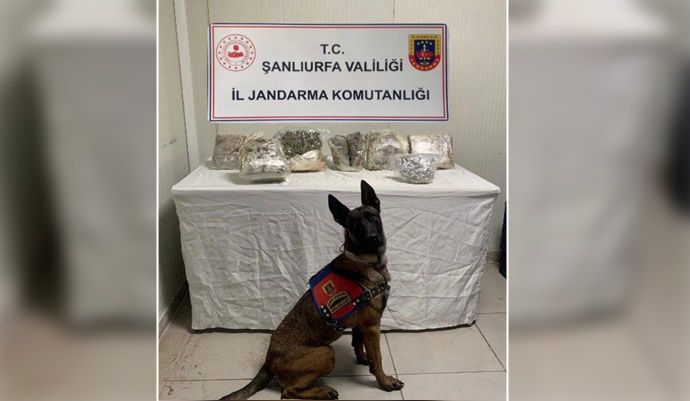Birecik’te yolcu otobüsünde 9 kilo 750 gram kubar esrar ele geçirildi