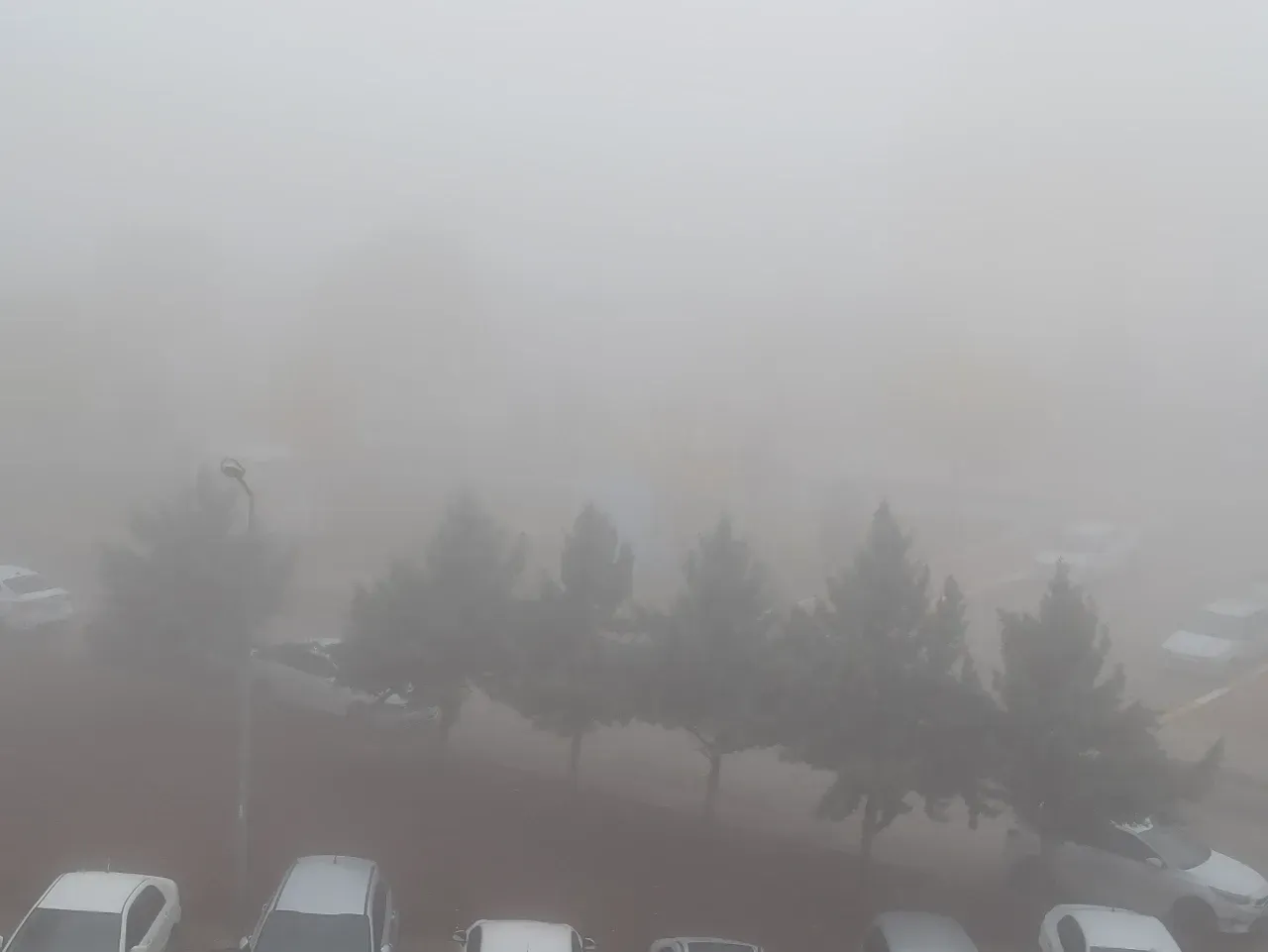 Yoğun Sis Şanlıurfa’da Hayatı Olumsuz Etkiliyor