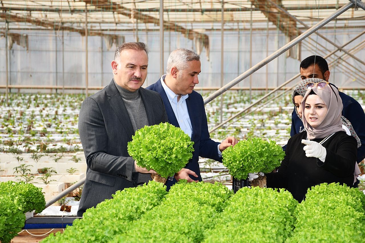 Harran Üniversitesinde Hasat Sevinci; Ar-Ge Serası Yeniden Hayata Geçirildi