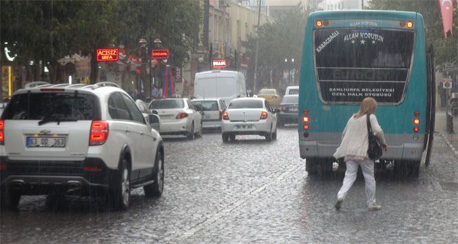 Şanlıurfa’daki yağış çiftçilere can suyu oldu