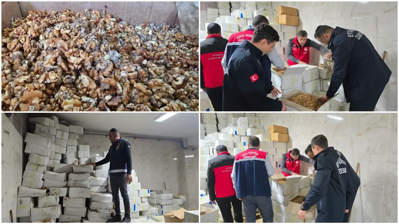 Şanlıurfa’da Tonlarca Bozuk Ceviz Ele Geçirildi