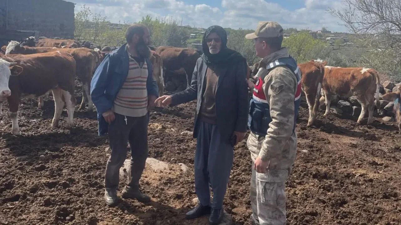 Siverek ‘teki Hayvan hırsızlığı olayını jandarma çözdü