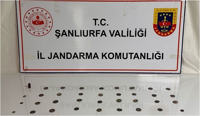 Siverek’te Tarihi Eser Operasyonu