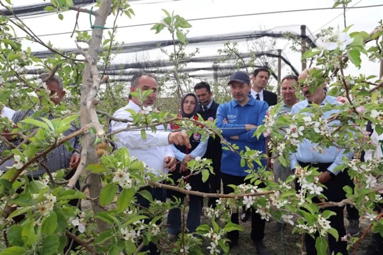 Tarım ve Orman Bakanlığı heyeti, Karaman’da zirai dondan etkilenen alanlarda inceledi