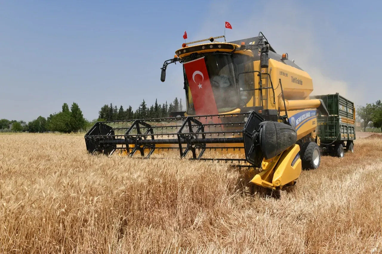 Vali Şıldak, Buğday Hasadına Katıldı