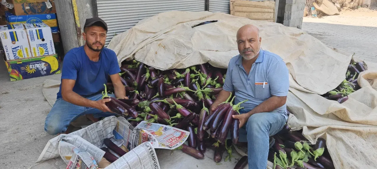 Lezzetiyle Dillere Destan, Sofraların Vazgeçilmezi!