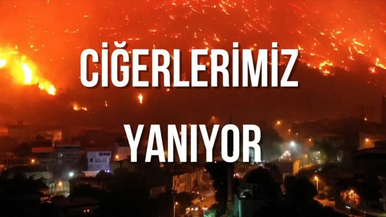 Milletvekili Ayan’dan Yangın Tepkisi: “Memleketin Her Yeri Yangın Yeri!”