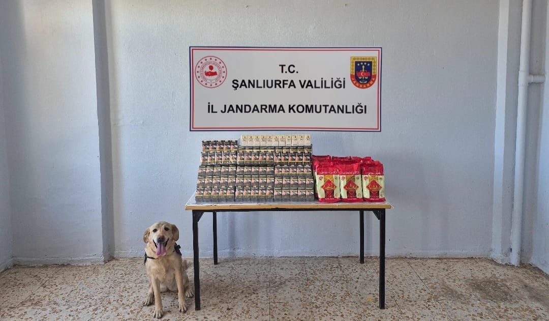 Şanlıurfa’da Kaçak Tütün ve Alkol Operasyonu: Çok Sayıda Ürün Ele Geçirildi