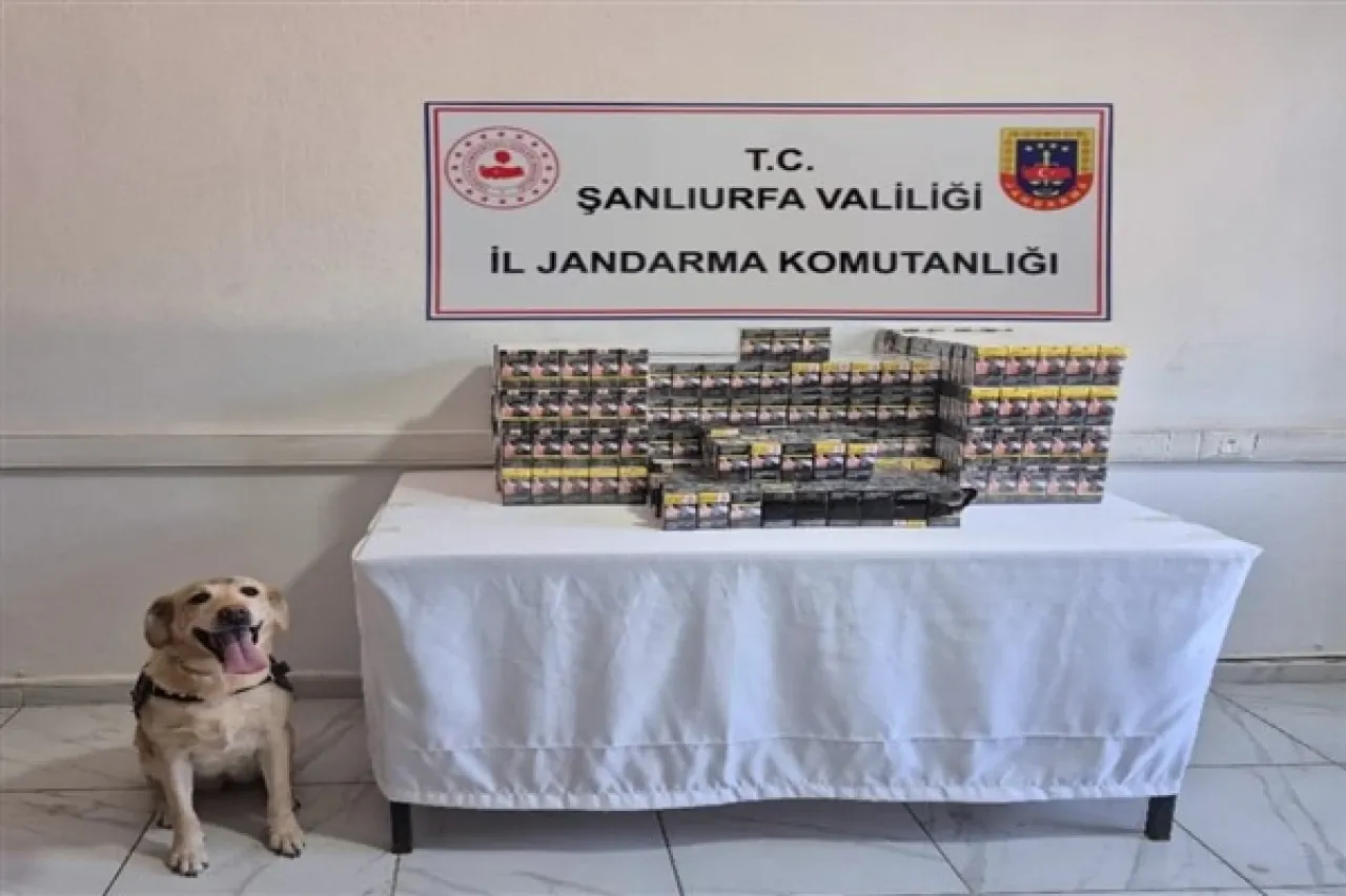Şanlıurfa’da tütün ve alkol kaçakçılarına yönelik çalışmalar gerçekleştirildi