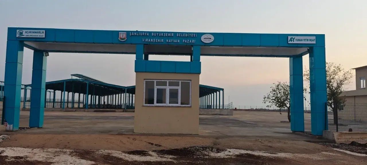 Şap Sebebiyle Durdu, Bekleyiş Sürüyor
