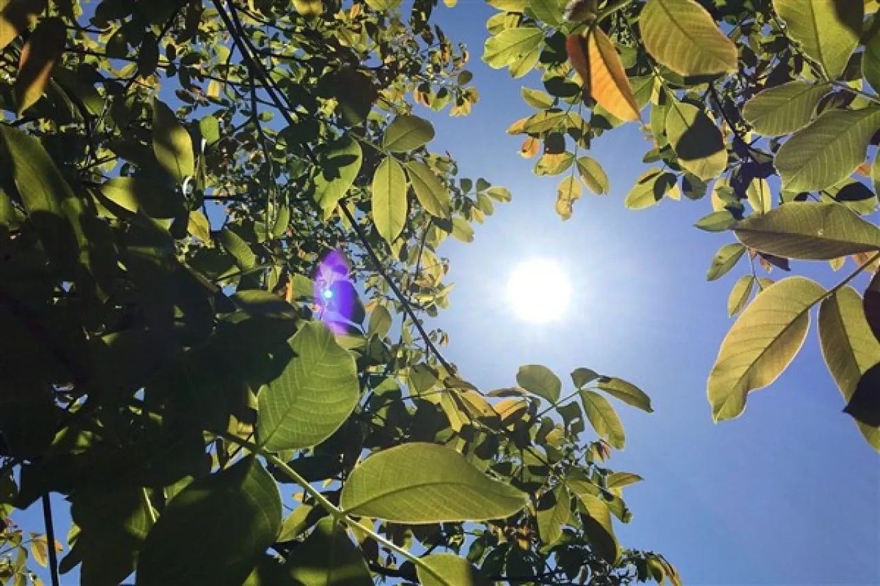 Hava sıcaklığı Ege ve Akdeniz kıyılarında artacak