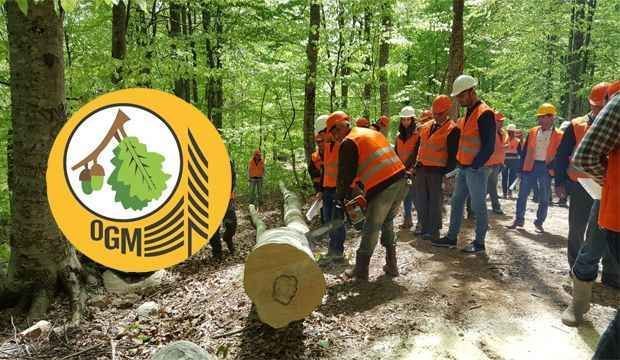 OGM Taşra Teşkilatına 262 Daimi İşçi Alınacak
