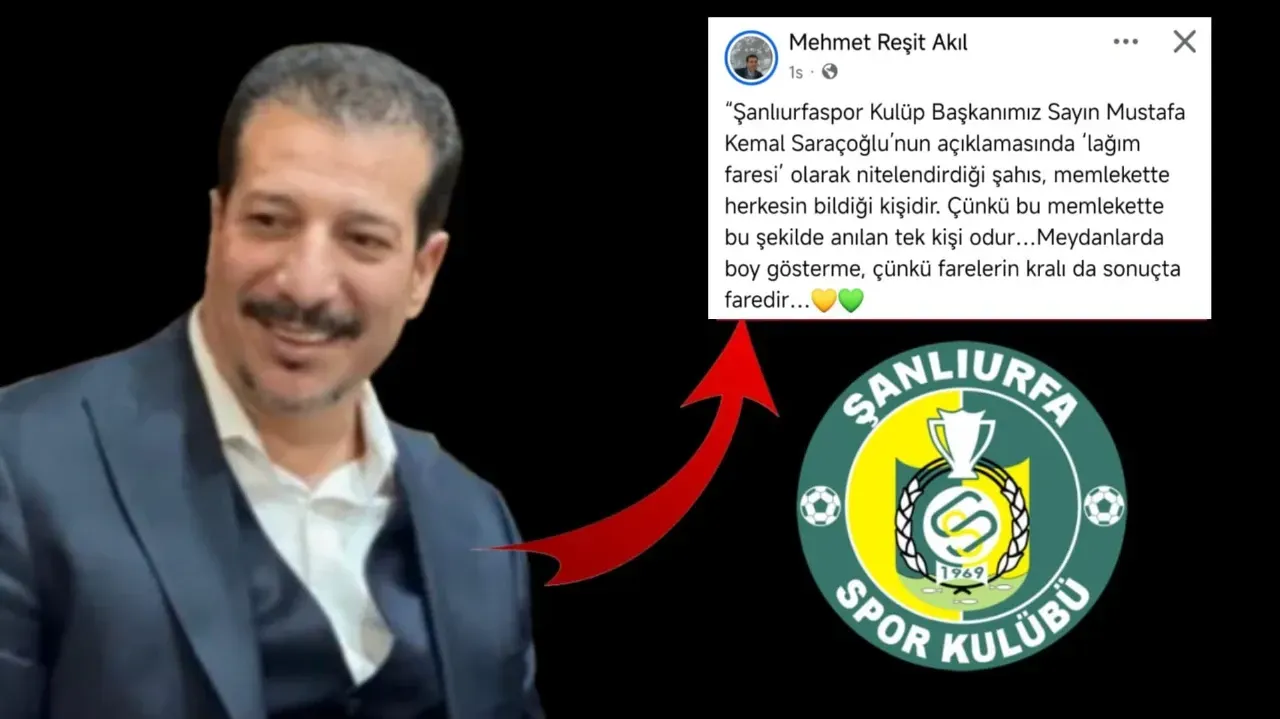 Saraçoğlu’nun Ardından Akıl da Konuştu: Memlekette Tek ‘Lağım Faresi’ Var