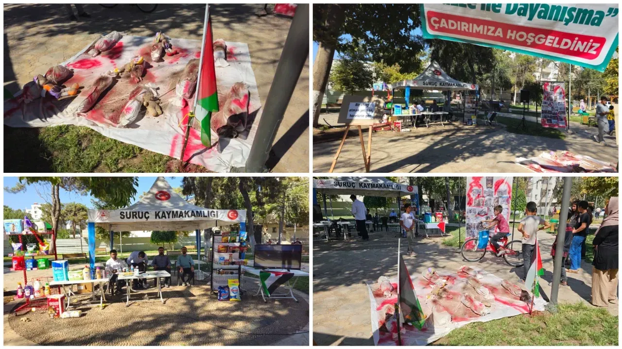 Suruç’ta Mevlid-i Nebi Haftası’nda Anlamlı Etkinlik