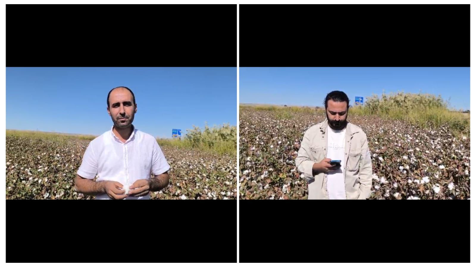 Pamuk Üreticilerine Destek Çağrısı: Alım Fiyatı En Az 35 TL Olmalı