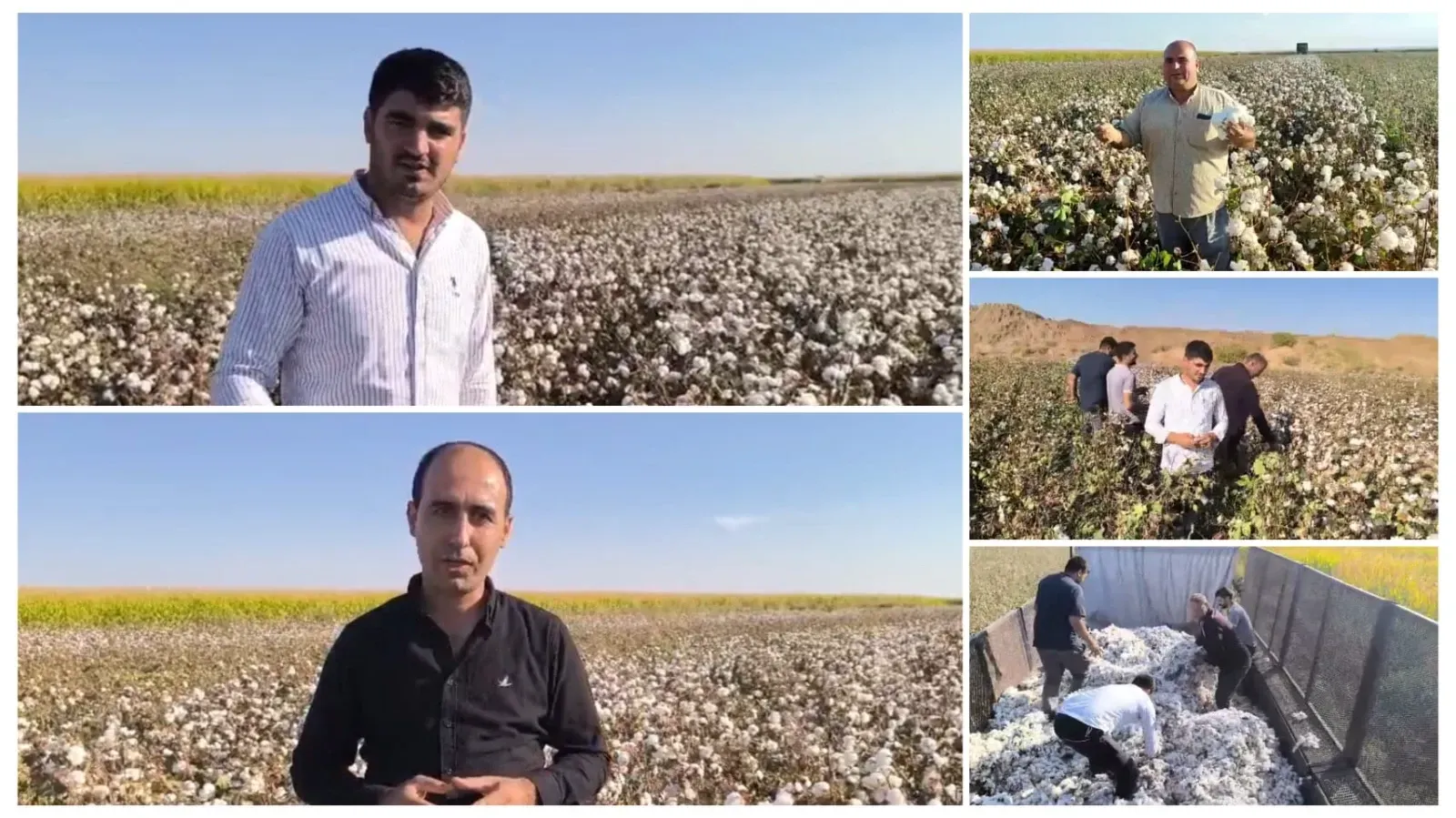 Suruçlu Çiftçiler: “Emeğimizin Karşılığını Alamıyoruz”