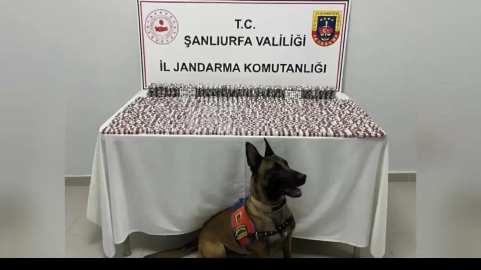 29 İlde Dev Operasyon: Şanlıurfa’nın da Aralarında Olduğu İllerde Zehir Tacirlerine Darbe