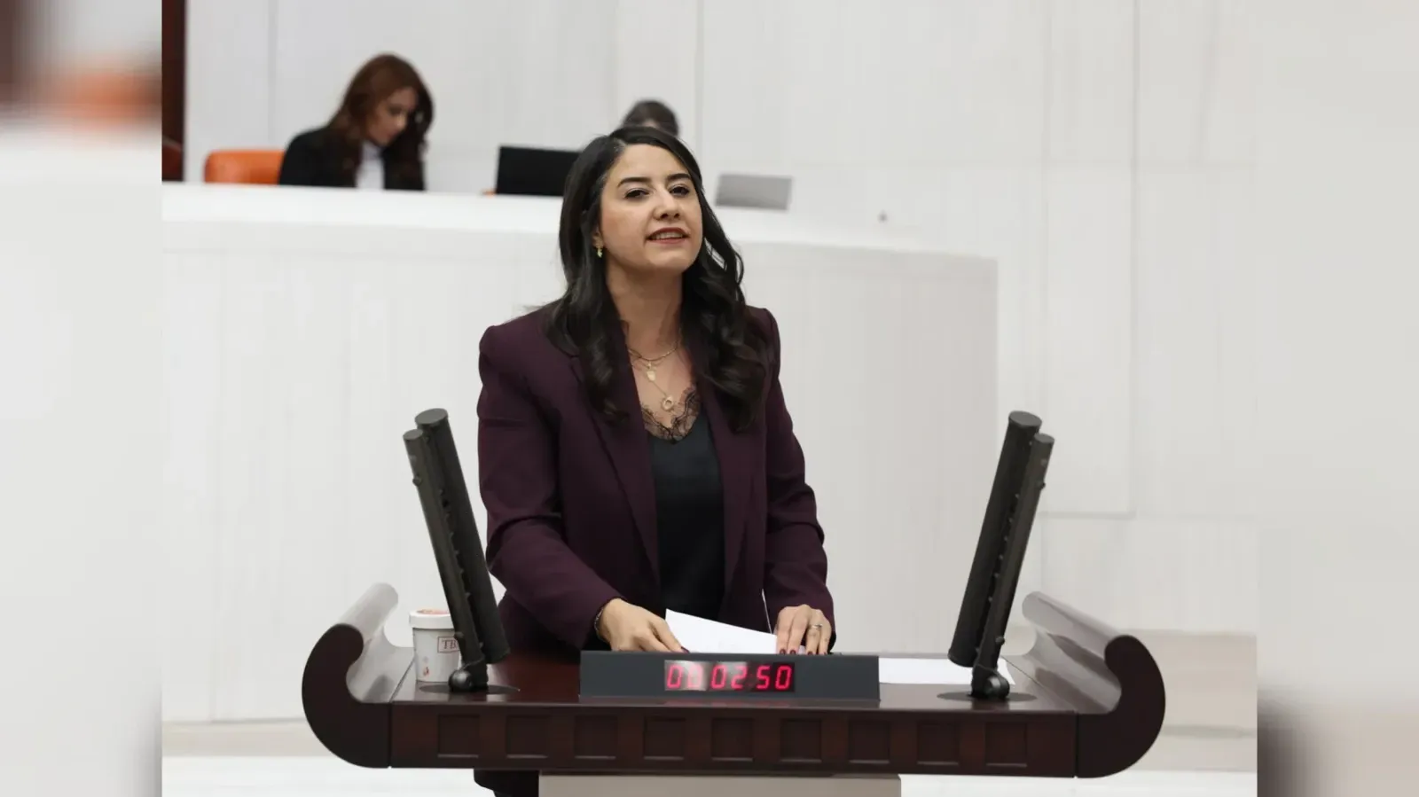 Şanlıurfa Milletvekili Ayan’dan TBMM ‘ye Anadili için Meclis Önergesi