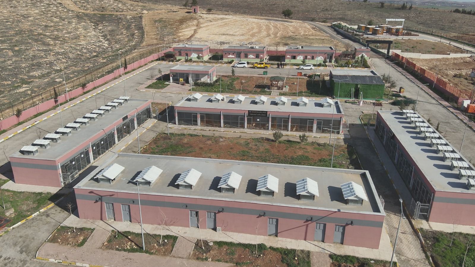 Şanlıurfa’da Sahipsiz Hayvanların Toplanmasında Hedefe Ulaşıldı