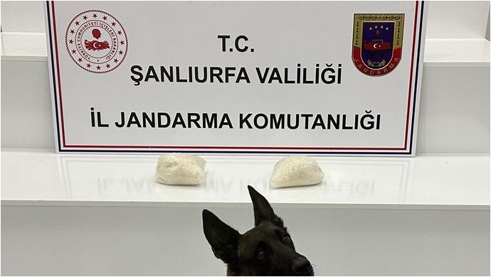 Şanlıurfa’da uyuşturucu operasyonunda 2 kilogram sentetik madde ele geçirildi