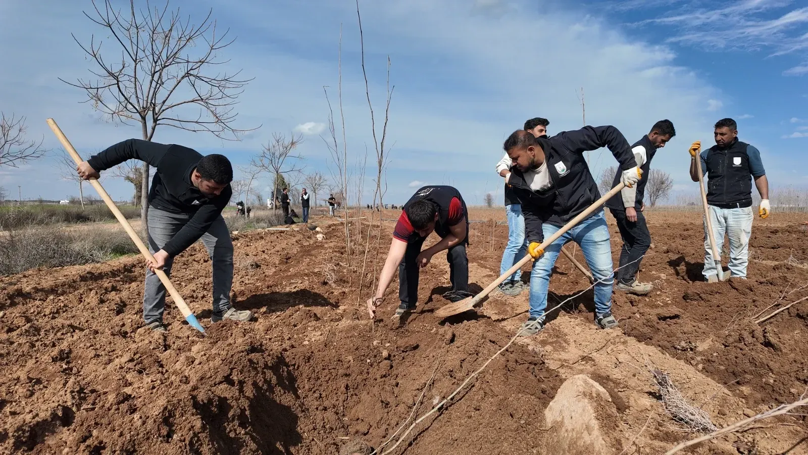  Şanlıurfa Büyükşehir Belediyesi’nden 20 Bin Çınarlık Yeşil Hamle