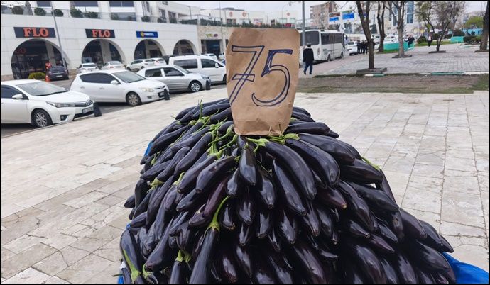 250 Liradan 75 Liraya Çakıldı: Patlıcan Fiyatında Şok Düşüş
