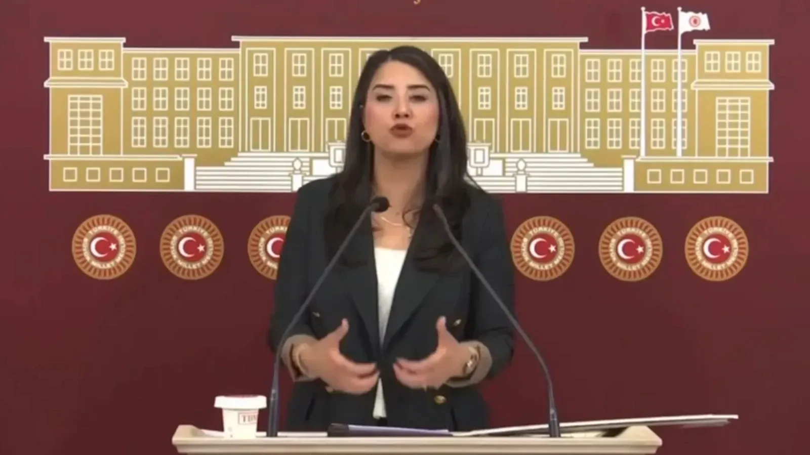 Dilan Kunt Ayan’dan Akçakale Sınır Kapısı ve Geçiş Ücretine İlişkin Soru Önergesi
