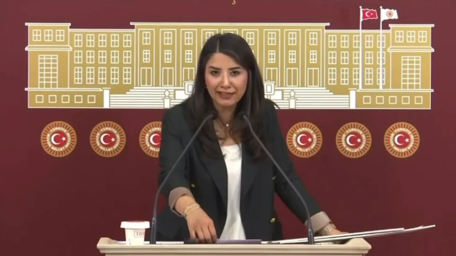 Şanlıurfa Milletvekili Ayan’dan Suruç’taki sel ve altyapı sorunlarına ilişkin açıklama