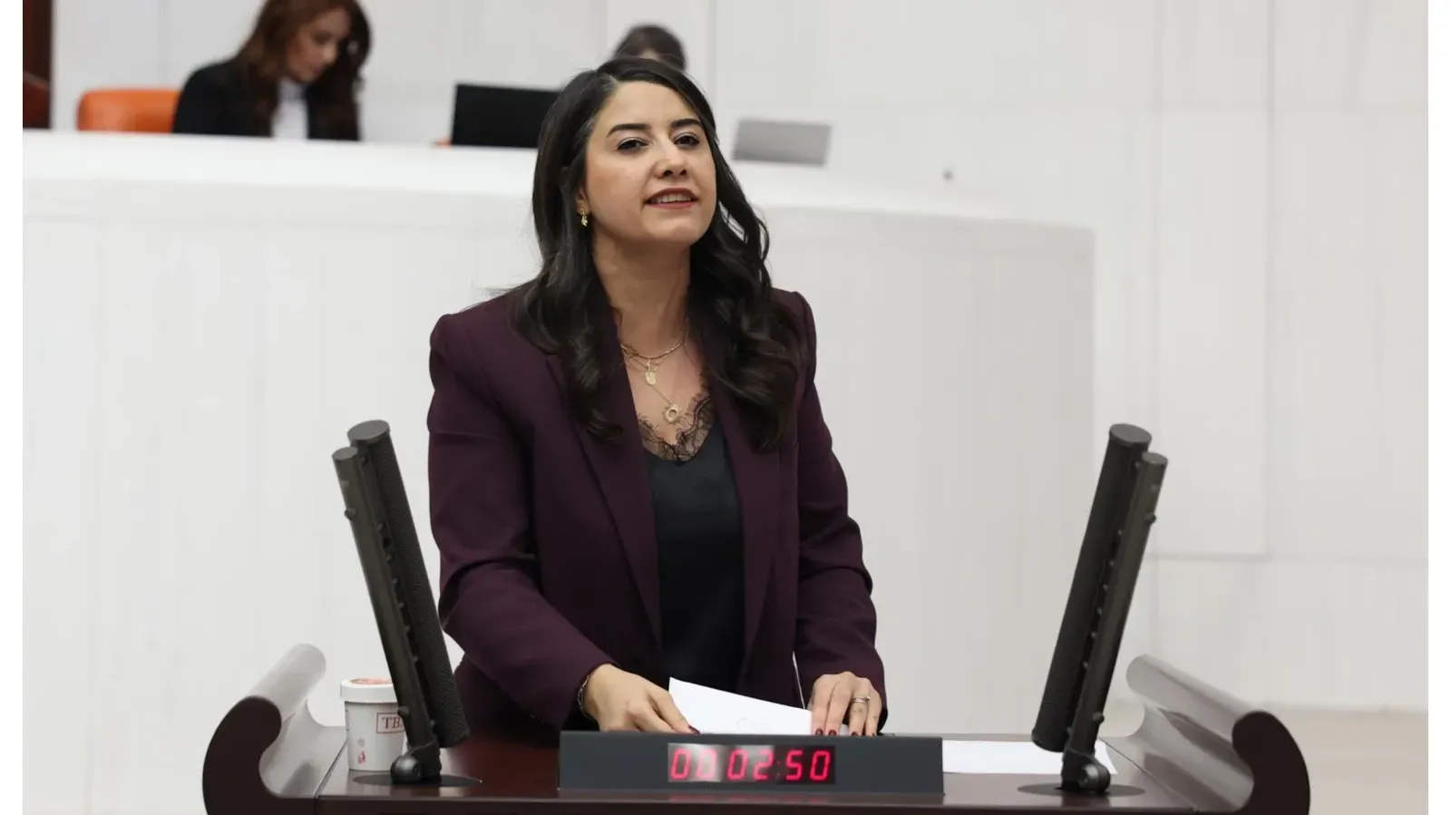 TBMM’ye “Kayyım Uygulamaları Araştırılsın” Önergesi