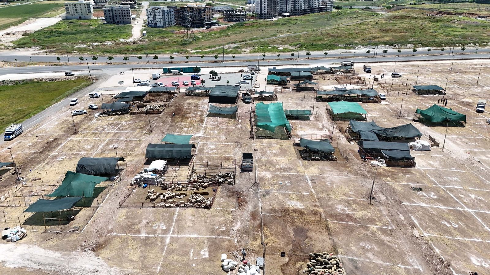 Haliliye’de Kurban Satış ve Kesim Yerleri Açıklandı