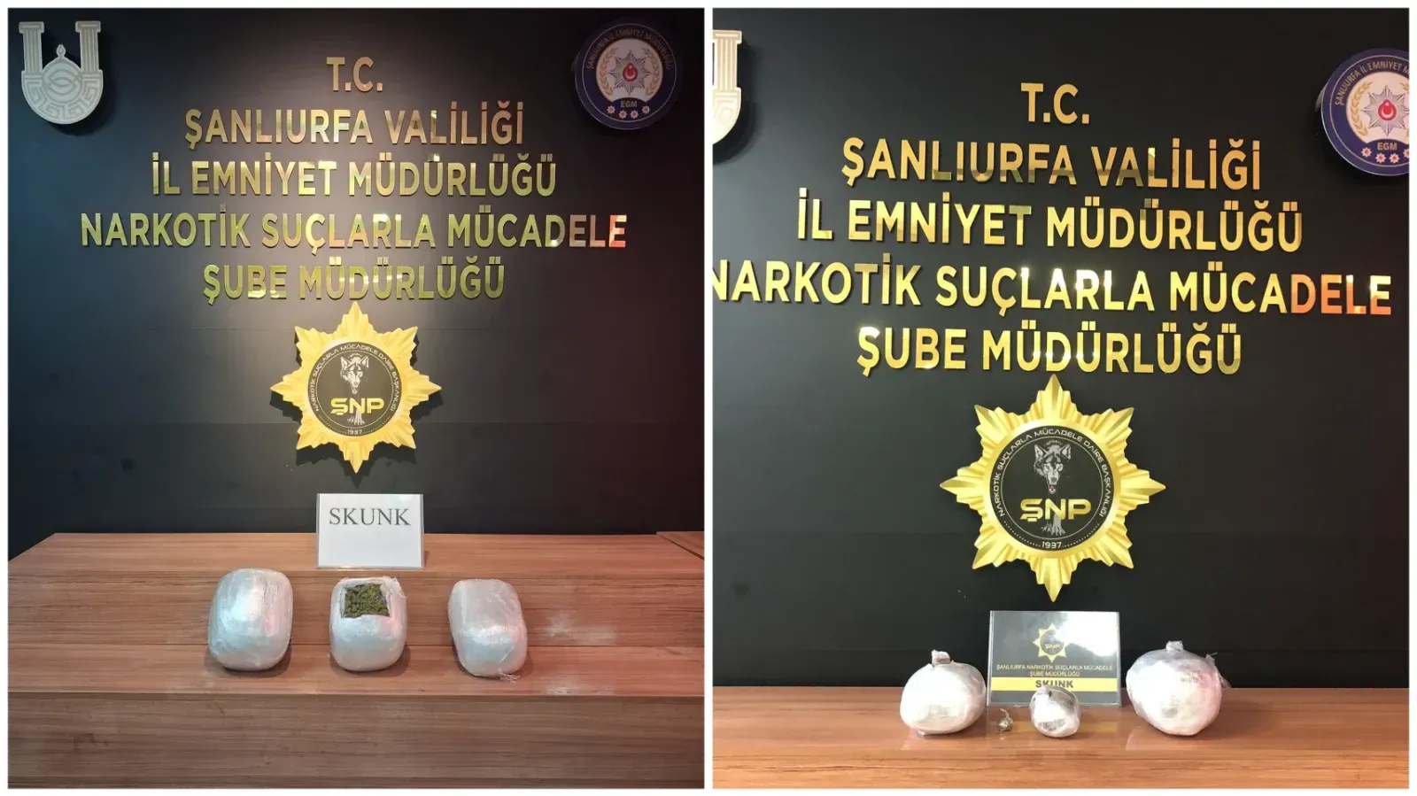 Şanlıurfa’da 6 kilo 800 gram skunk ele geçirildi