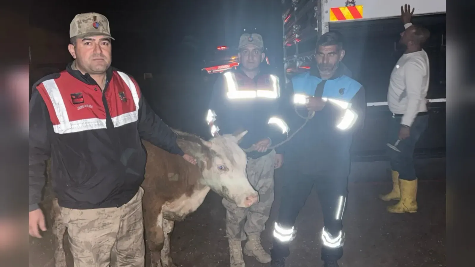 Şanlıurfa’da çalınan büyükbaş hayvan, 40 saatlik kamera incelemesiyle bulundu