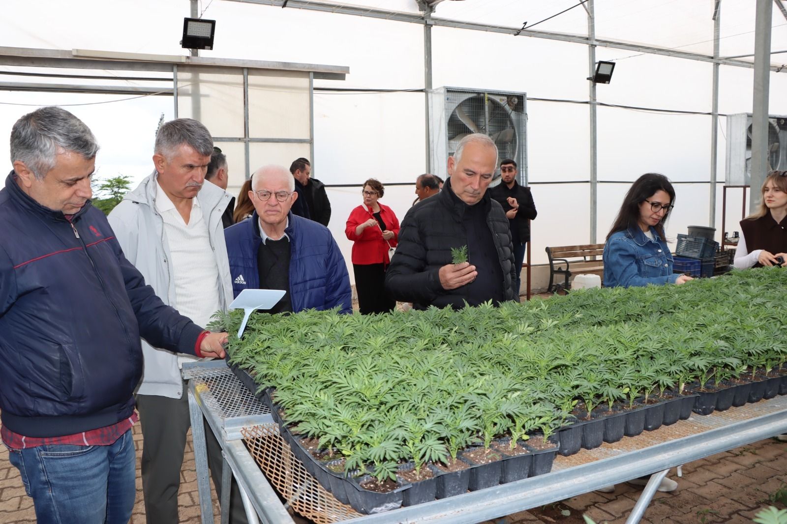 TBB Heyeti, Şanlıurfa Büyükşehir Belediyesi’nin Tarımsal Üretimini İnceledi